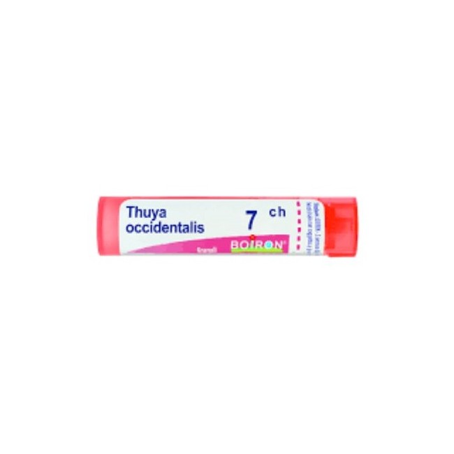 Boiron Thuya Occ 7ch Gl 1g Boiron Thuya Occ 7ch Gl 1g