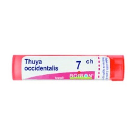 Boiron Thuya Occ 7ch Gl 1g