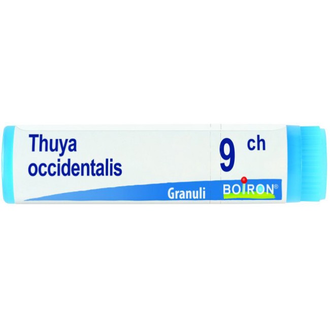 Boiron Thuya Occidentalis 9 Ch Globuli Boiron Thuya Occidentalis 9 Ch Globuli