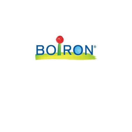 Boiron Silicea 6ch Gr 4g Boiron Silicea 6ch Gr 4g