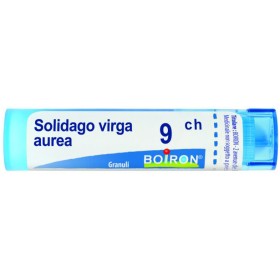 Boiron Solidago Virga Au 9ch Gr 4g
