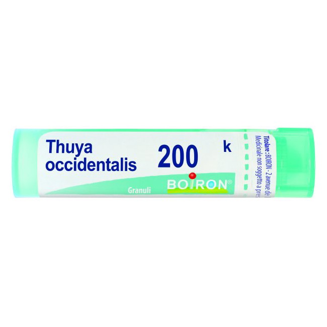 Boiron Thuya Occ 200k Gr 4g Boiron Thuya Occ 200k Gr 4g