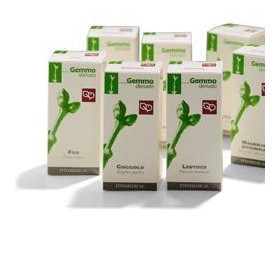 Fitomedical Agnocasto Macerato Glicerico 50 Ml