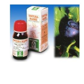 Specchiasol Mirtillo 31 50ml Tm