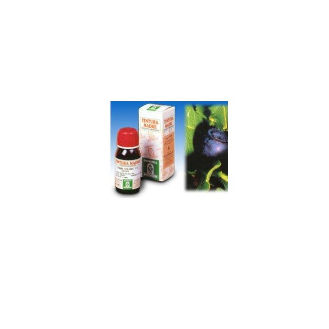 Specchiasol Mirtillo 31 50ml Tm Specchiasol Mirtillo 31 50ml Tm