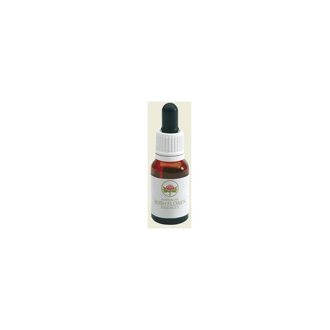 Australian Bush Flower Essences Red Suva Frangipani Australian 15 Ml Australian Bush Flower Essences Red Suva Frangipani Australian 15 Ml