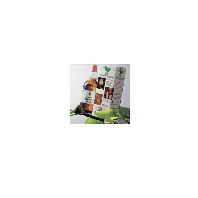 Sangalli Laboratorio Erboristico Castagno Macerato Glicerico 100 Ml