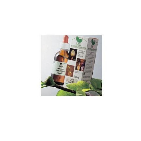 Sangalli Laboratorio Erboristico Castagno Macerato Glicerico 100 Ml