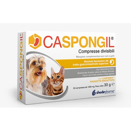Caspongil 30 compresse divisibili Caspongil 30 compresse divisibili