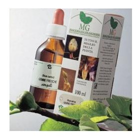 Sangalli Laboratorio Erboristico Betulla Macerato Glicerico 100 Ml