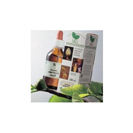 Sangalli Laboratorio Erboristico Betulla Macerato Glicerico 100 Ml