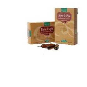 Natura Service Ligne Hepa Biologico 20 Ampolle Bevibili Da 15 Ml