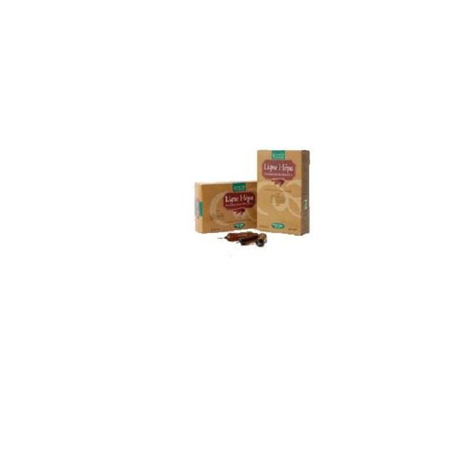 Natura Service Ligne Hepa Biologico 20 Ampolle Bevibili Da 15 Ml Natura Service Ligne Hepa Biologico 20 Ampolle Bevibili Da 15 Ml
