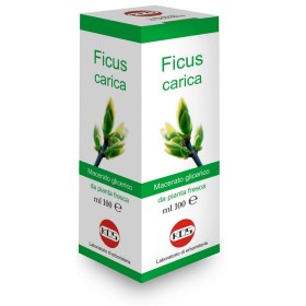 Kos Ficus Carica Macerato Glicerico 100 Ml