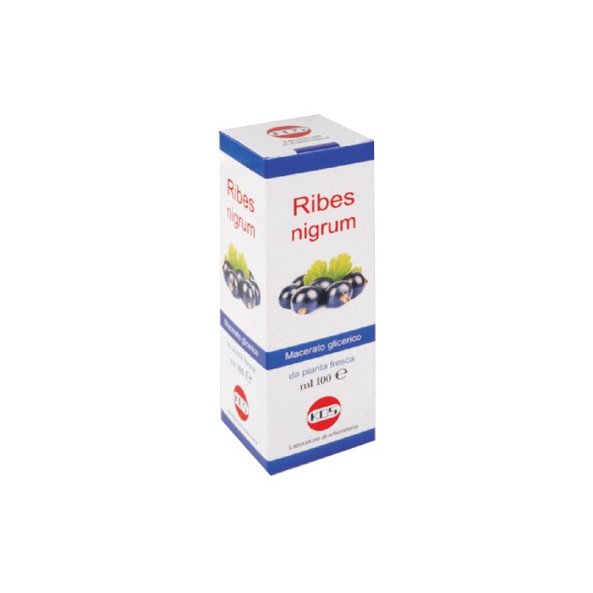 Kos Ribes Nigrum Macerato Glicerico 100 Ml Gocce Kos Ribes Nigrum Macerato Glicerico 100 Ml Gocce