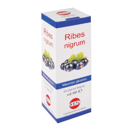 Kos Ribes Nigrum Macerato Glicerico 100 Ml Gocce Kos Ribes Nigrum Macerato Glicerico 100 Ml Gocce