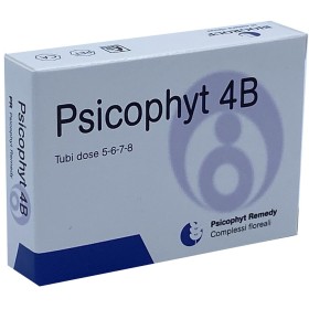 Biogroup Psicophyt Remedy 4b 4 Tubi 1,2 G