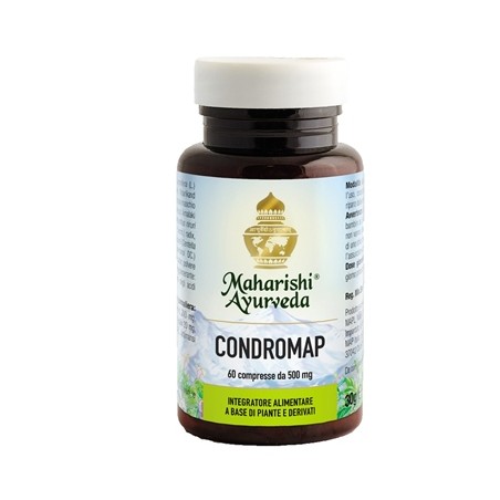 Condromap 60 Compresse