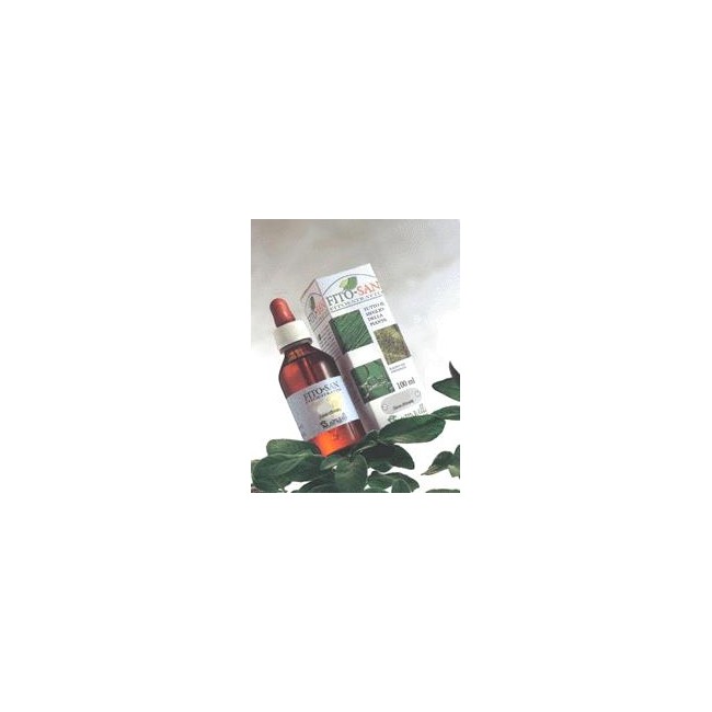 Sangalli Laboratorio Erboristico Erisimo Tintura Madre 100 Ml