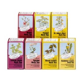 Salus Haus Rosa Canina Tisana 15 Filtri Bio