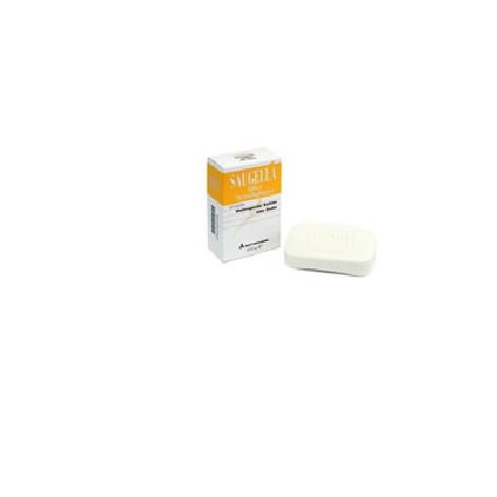 Meda Pharma Saugella Solido Zolfo 100 G