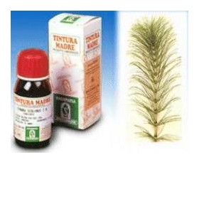 Specchiasol Equiseto 12 50ml Tm