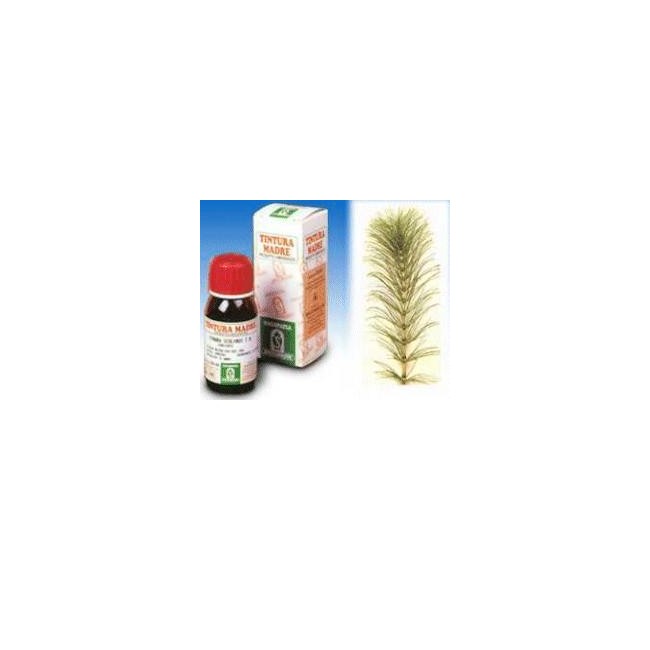 Specchiasol Equiseto 12 50ml Tm Specchiasol Equiseto 12 50ml Tm