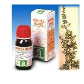 Specchiasol Uva Ursina 30 50ml Tm