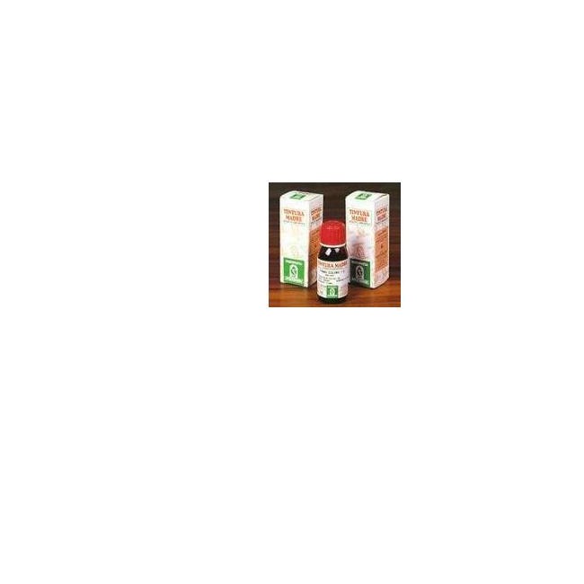 Specchiasol Eleuterococco 60 50ml Tm