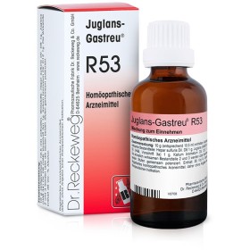 Dr.reckeweg Reckeweg R53 Gocce 22 Ml