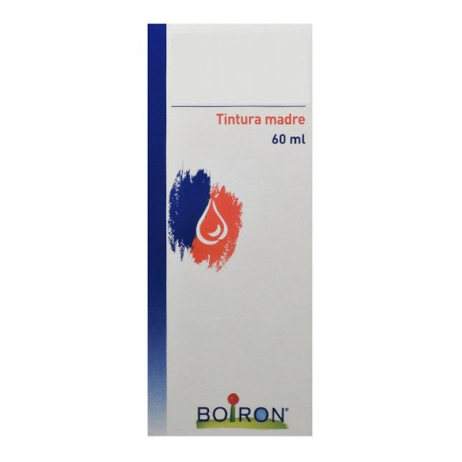 Boiron Thuya Occidentalis Tintura Madre 60 Ml Boiron Thuya Occidentalis Tintura Madre 60 Ml
