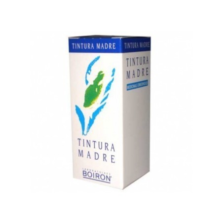Boiron Solidago Virga Aurea Tintura Madre 60 Ml Boiron Solidago Virga Aurea Tintura Madre 60 Ml