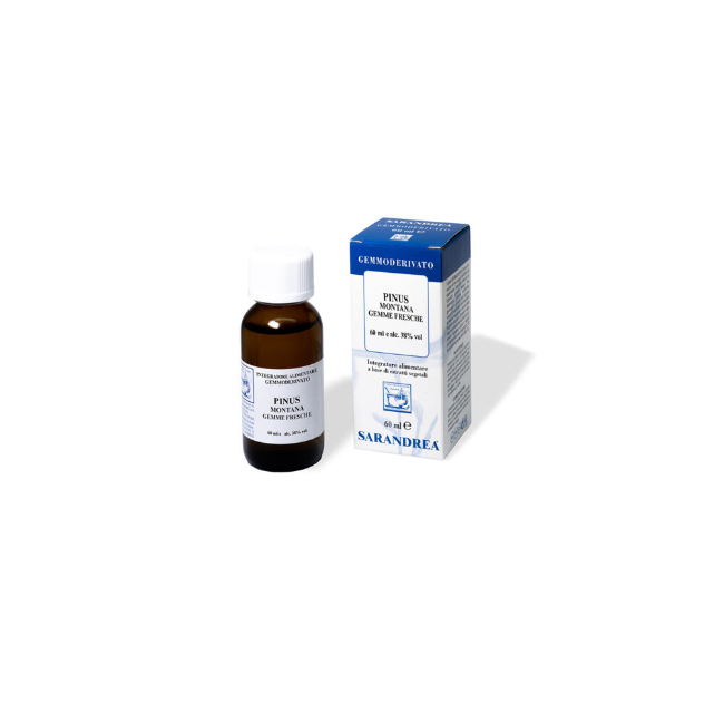 Sarandrea Pinus Montana 100 Ml Macerato Glicerico Sarandrea Pinus Montana 100 Ml Macerato Glicerico