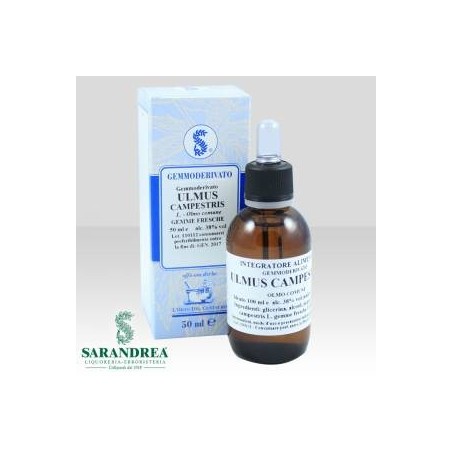 Sarandrea Ulmus Campestris 100 Ml Macerato Glicerico