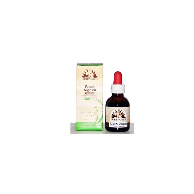 Erbenobili Fitoblasto Ribes Nigrum 50 Ml Erbenobili Fitoblasto Ribes Nigrum 50 Ml