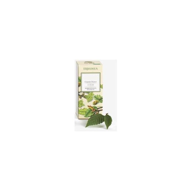 Erbamea Ribes Nigrum Gemme Gemmoderivato Bio 50 Ml Erbamea Ribes Nigrum Gemme Gemmoderivato Bio 50 Ml