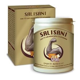 Dr. Giorgini Salisani Vitaminsport 360 G Polvere