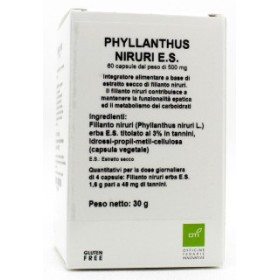 Oti Officine Terapie Innovative Phyllanthus Niruri Estratto Secco 60 Capsule