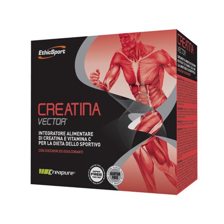 Ethicsport Creatina Vector 20 Bustine 8 G Ethicsport Creatina Vector 20 Bustine 8 G