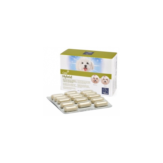 Camon Orme Naturali Hybrid 60 Compresse 1300 Mg