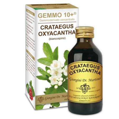 Dr. Giorgini Gemmo 10+ Biancospino Liquido Analcolico 100 Ml Dr. Giorgini Gemmo 10+ Biancospino Liquido Analcolico 100 Ml