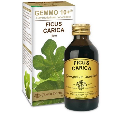 Dr. Giorgini Gemmo 10+ Fico Liquido Analcolico 100 Ml Dr. Giorgini Gemmo 10+ Fico Liquido Analcolico 100 Ml