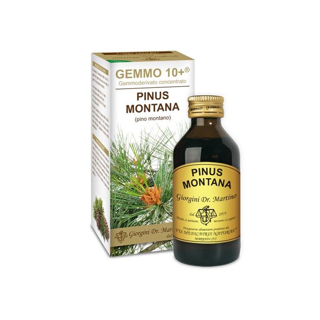Dr. Giorgini Gemmo 10+ Pino Montano 100 Ml Liquido Analcolico