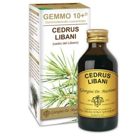 Dr. Giorgini Gemmo 10+ Cedro Del Libano 100 Ml Liquido Analcolico