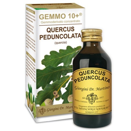 Dr. Giorgini Gemmo 10+ Quercia 100 Ml Liquido Analcolico Dr. Giorgini Gemmo 10+ Quercia 100 Ml Liquido Analcolico