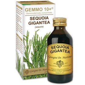 Dr. Giorgini Gemmo 10+ Sequoia 100 Ml Liquido Analcolico