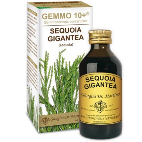 Dr. Giorgini Gemmo 10+ Sequoia 100 Ml Liquido Analcolico Dr. Giorgini Gemmo 10+ Sequoia 100 Ml Liquido Analcolico
