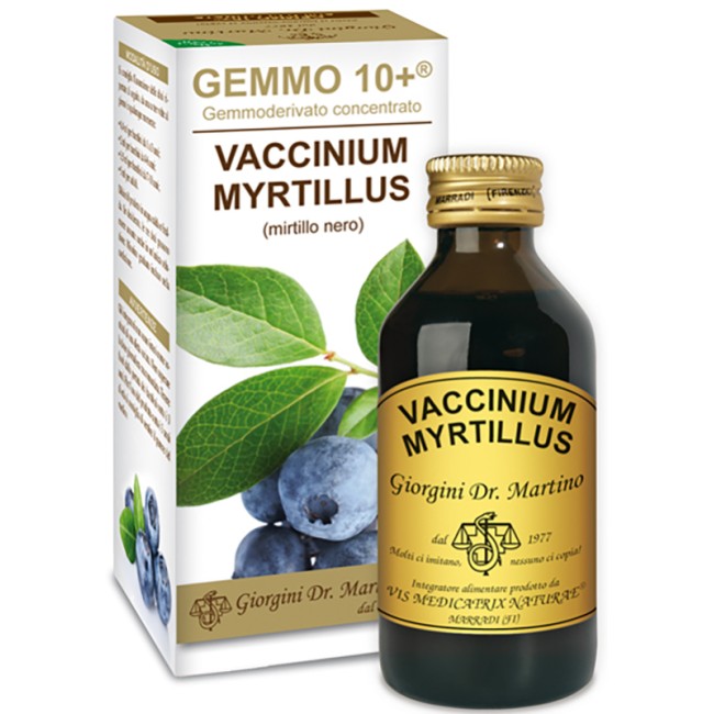 Dr. Giorgini Gemmo 10+ Gemmoderivato Concentrato Vaccinium Myrtillus Mirtillo Nero Senza Alcool 100 Ml Dr. Giorgini Gemmo 10+ Gemmoderivato Concentrato Vaccinium Myrtillus Mirtillo Nero Senza Alcool 100 Ml