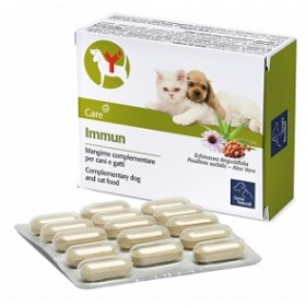 Camon Immun 60 Compresse