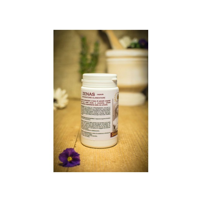 Elekea Zenas 400mg 100 Capsule